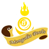 bolasquad.com
